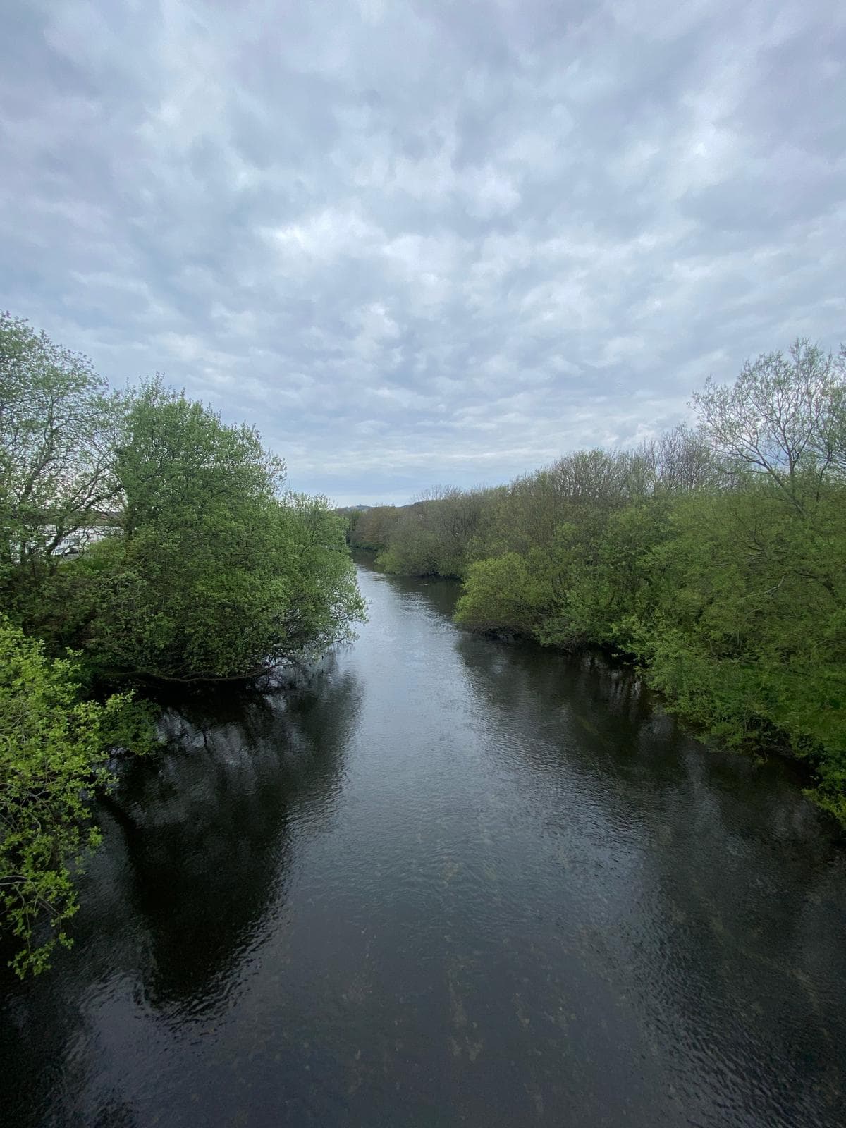 The Rheidol